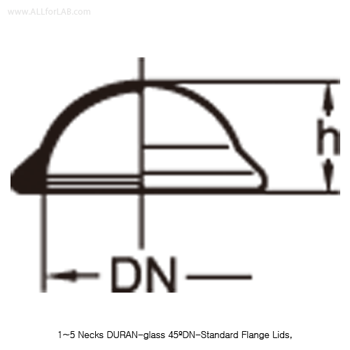 DURAN-glass 45º DN 150-Standard Flange Lid, 1-neck, Center- 24/40