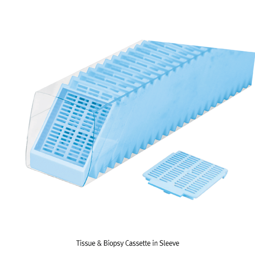 Cassette in Sleeve, Tissue, Blue