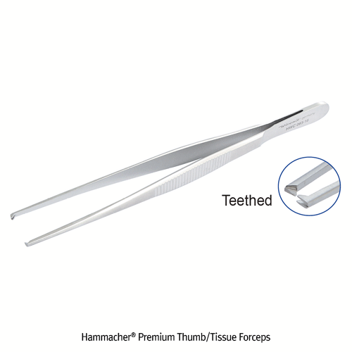 Forceps teethed, Straight, 145mm
