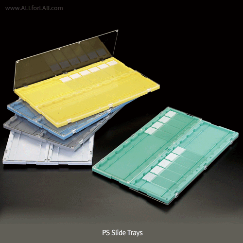 Box slide folder yellow