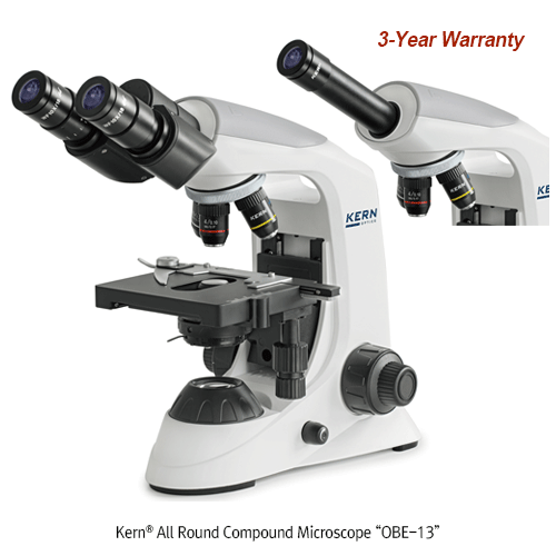 Eyepiece, HWF 10× / Φ18mm, Reticle 0.1mm for All Round Compound Microscope