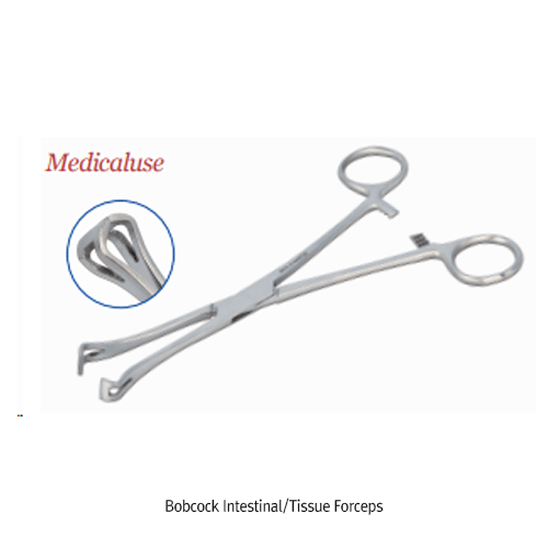 Intestinal/Tissue Forceps, SS, Bobcock, Jaws-w11×72mm, L180mm