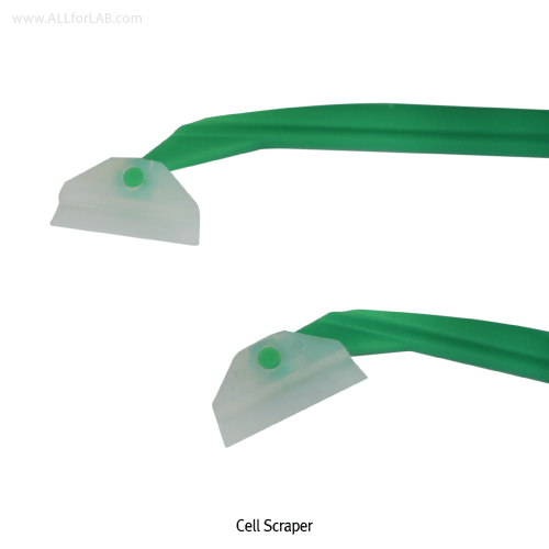 Cell Scraper, 3.0 ㎝ Blade width × L 39 ㎝