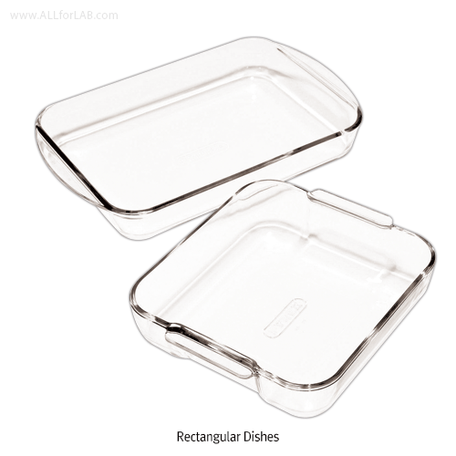 Dish rectangular, for multiuse, 2000ml 210x200xh60mm