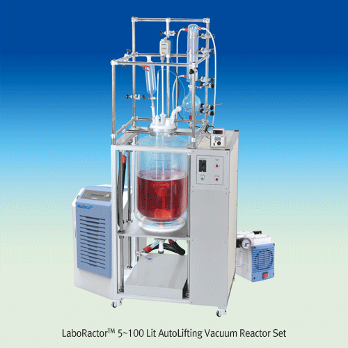Reactor Set, 2-wall Glass, 500Ncm, DN 200, Glass Lids, REA-80A , 80/1Lit