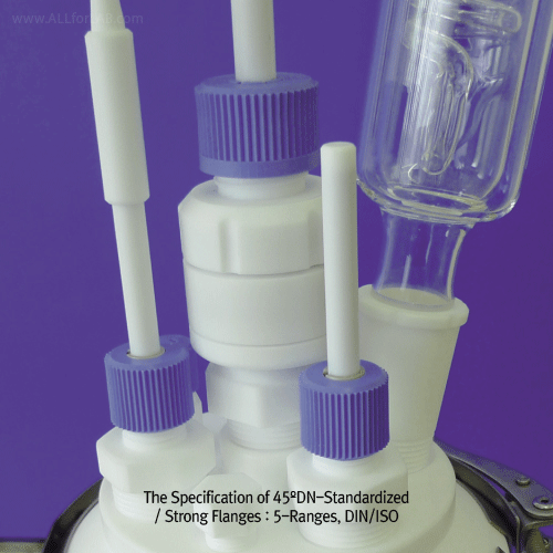 PTFE Reactor Lid, DN200, 6-Screw Sockets