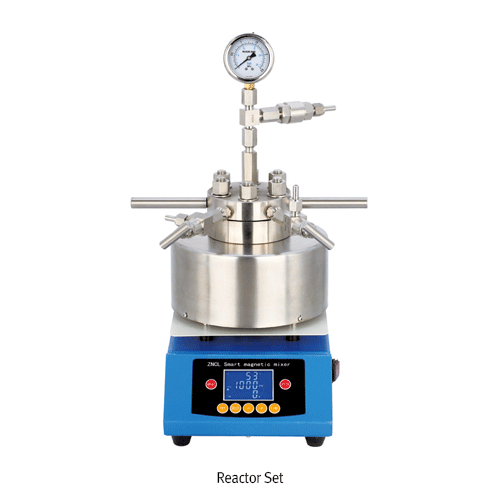 Reactor, Hydrothermal Synthesis Magnetic Stirring, 50ml